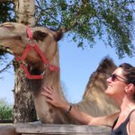 Nicole Hauf streichelt Kamel