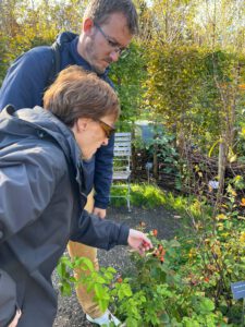 Pflanzen werden getastet